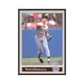 1992 Leaf Travis Fryman Tigers #304.0
