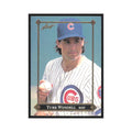 1992 Leaf Turk Wendell Cubs #BC-5