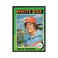 Brian Downing 1975 Topps (damaged) #422 Chicago White Sox Baseball Card Poor