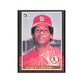 1985 Donruss Joaquin Andujar Cardinals #449