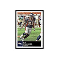 2010 Topps Magic Mini D.J. Williams Broncos #118