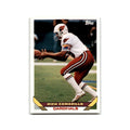 1993 Topps Rich Camarillo Phoenix Cardinals #283
