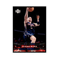 2004 Upper Deck Jason Kidd Nets #118