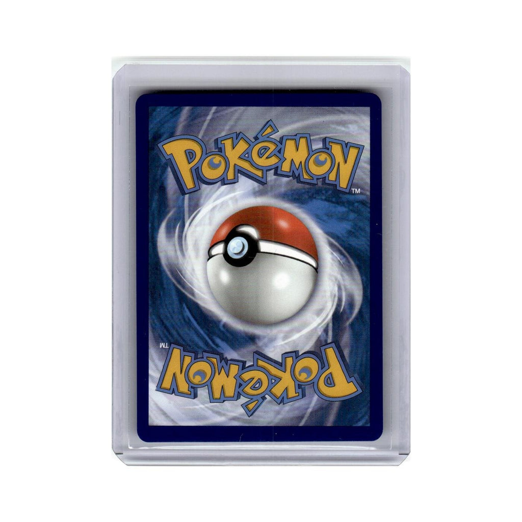 Boltund V 2022 Sword Shield Black Star Promo #219 Pokemon Pokemon Card NM