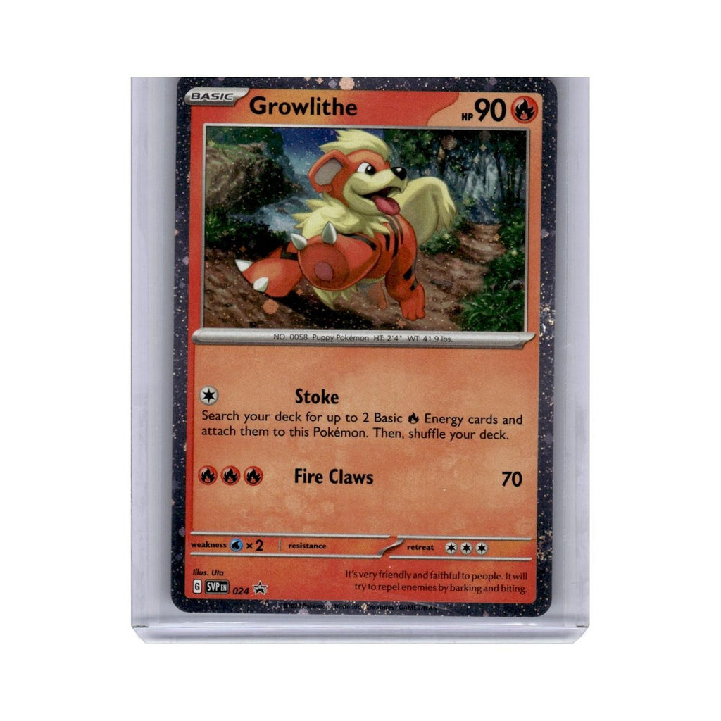 Growlithe 2023 Scarlet VioletPromos #24 Pokemon Pokemon Card NM