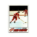 1977 Topps Al Cameron RC Detroit Red Wings #48
