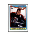 1990 Topps Randy Carlyle Hockey Cards #51