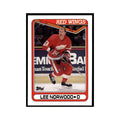 1990 Topps Lee Norwood Hockey Cards #285