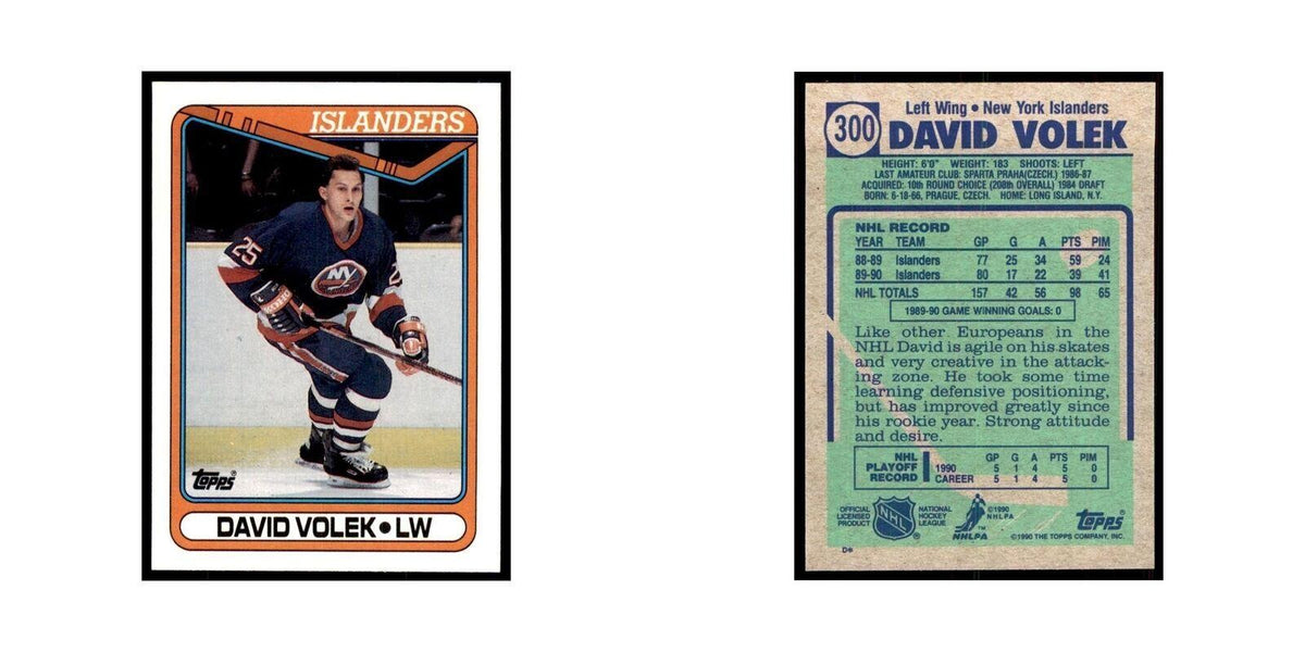 1990 Topps David Volek Hockey Cards #300