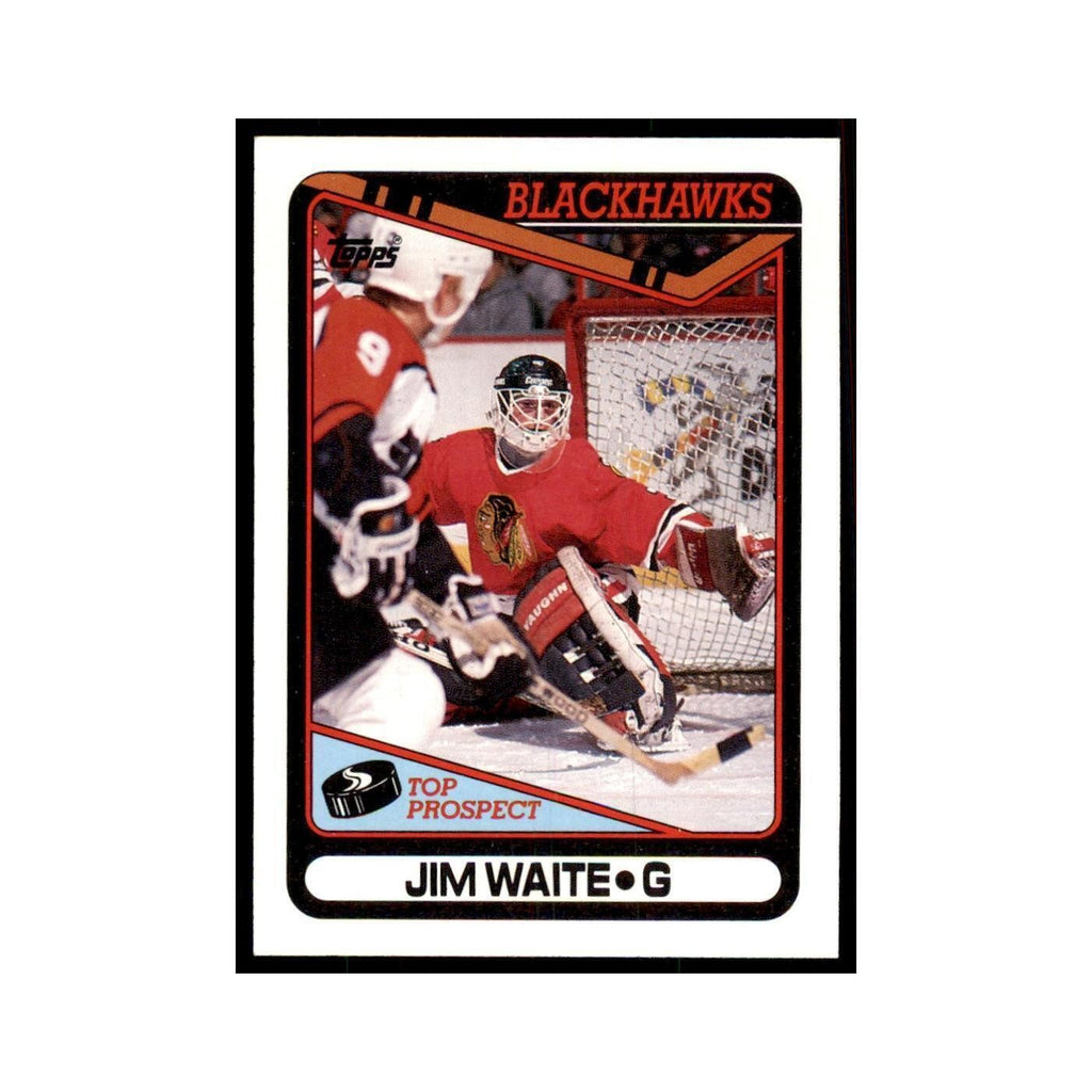 1990 Topps Jim Waite Hockey Cards #214