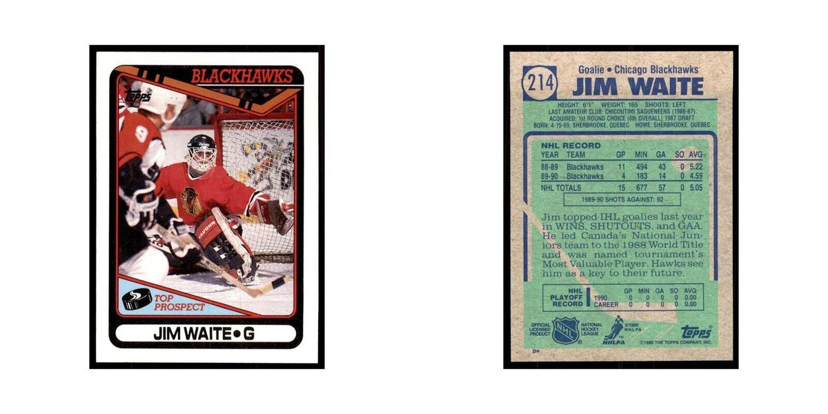 1990 Topps Jim Waite Hockey Cards #214