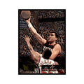 1995 Fleer Metal Arvydas Sabonis Basketball Cards #184