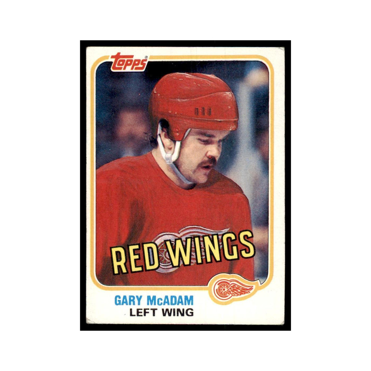 1981 Topps Gary McAdam Hockey Cards #W93