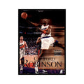 1999 SkyBox Premium Clifford Robinson Basketball Cards #29