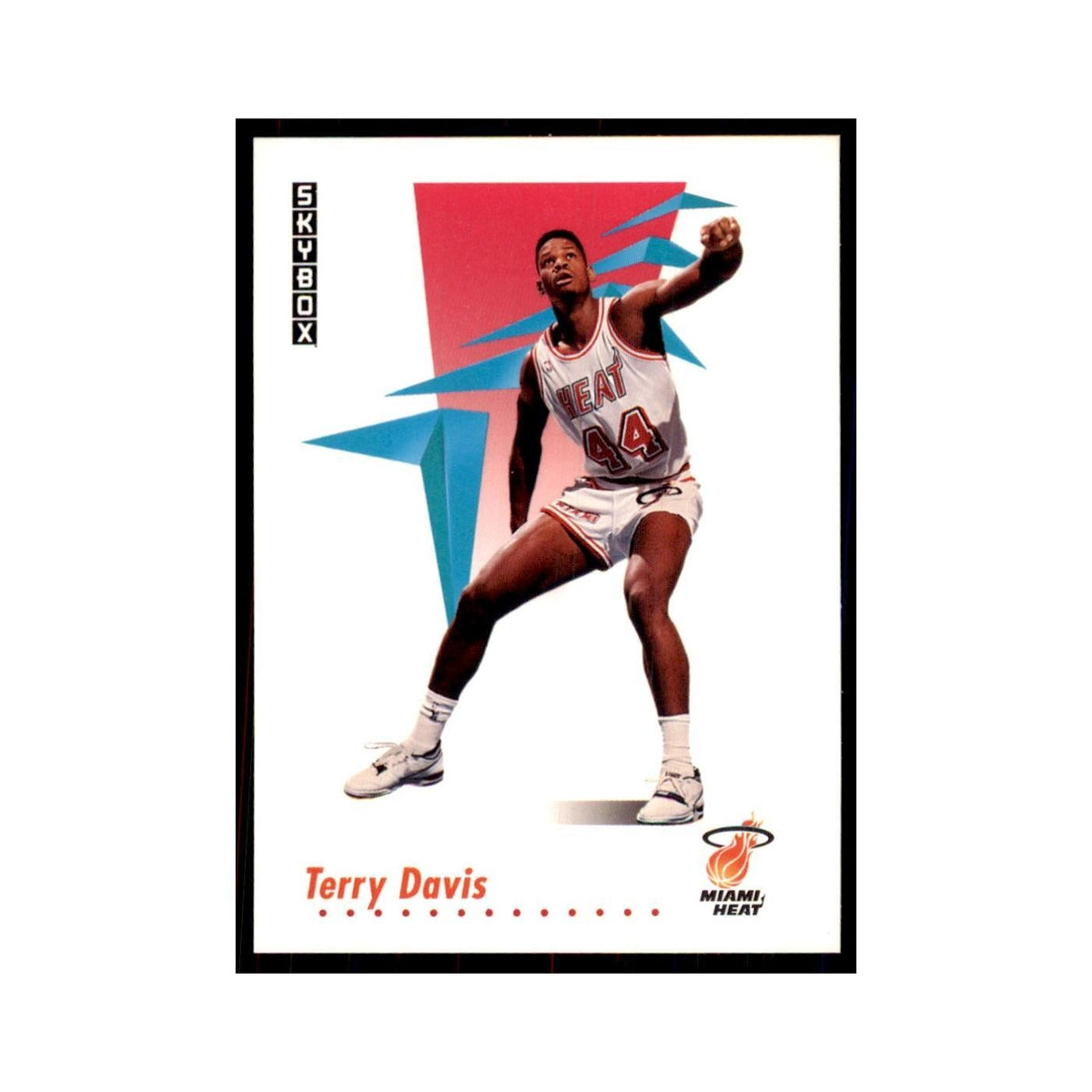 1991 SkyBox Terry Davis Basketball Cards #146