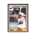 1987 Topps Baseball Card Tony Gwynn Padres #530