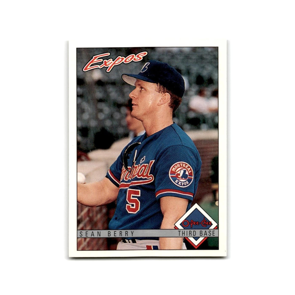 Sean Berry 1993 O-Pee-Chee #37 Montreal Expos Baseball Card NM