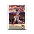 Geronimo Pena 1993 O-Pee-Chee #238 St. Louis Cardinals Baseball Card NM