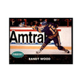 1991 Parkhurst French Randy Wood Hockey Cards #13