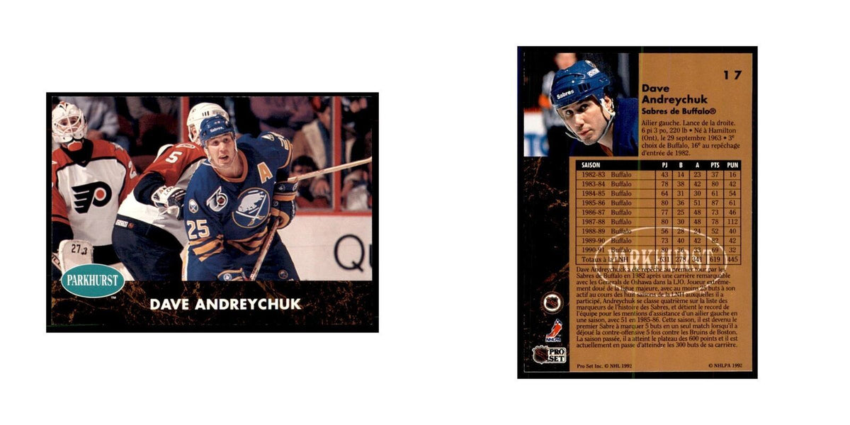 1991 Parkhurst French Dave Andreychuk Hockey Cards #17
