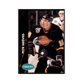 1991 Parkhurst French Petr Nedved Hockey Cards #178
