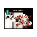 1991 Parkhurst French Peter Stastny Hockey Cards #103