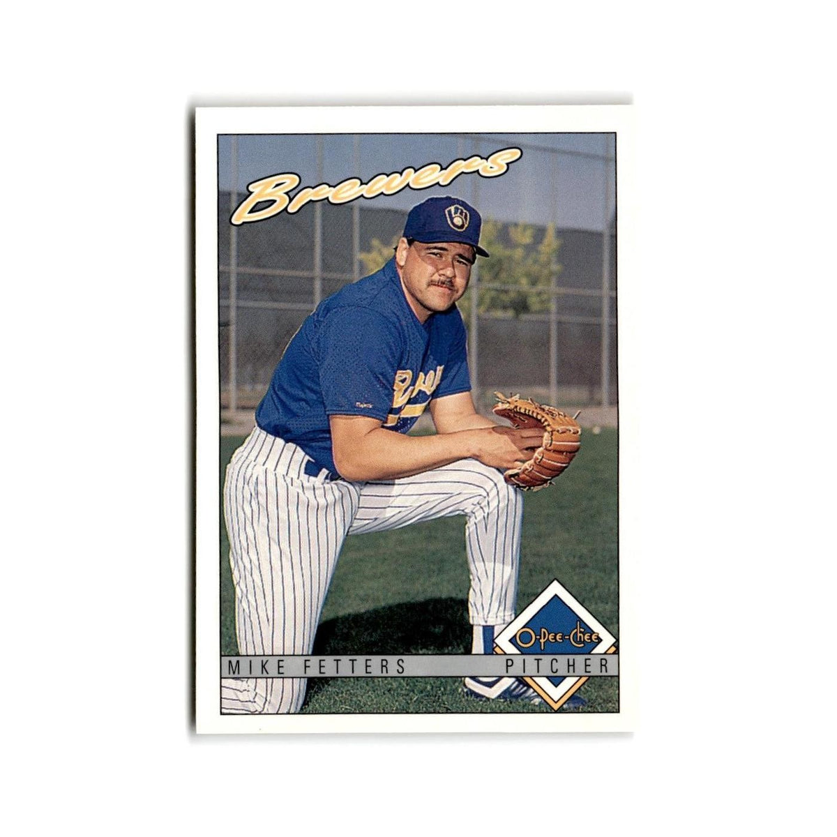 Mike Fetters 1993 O-Pee-Chee #109 Milwaukee Brewers Baseball Card NM