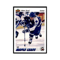1991 Upper Deck Peter Zezel Hockey Cards #241