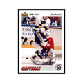 1991 Upper Deck Mike Liut #259