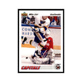 1991 Upper Deck Mike Liut Hockey Cards #259
