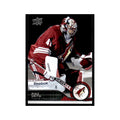 Mike Smith 2014 Upper Deck #13 Arizona Coyotes Hockey Card NM