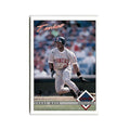 Shane Mack 1993 O-Pee-Chee #263 Minnesota Twins Baseball Card NM