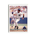 Andy Stankiewicz 1993 O-Pee-Chee #291 New York Yankees Baseball Card NM