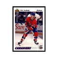 1991 Upper Deck Petr Svoboda Hockey Cards #285