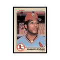 1983 Fleer Joaquin Andujar Baseball Cards #1