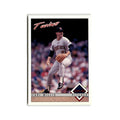 Chad Curtis 1993 O-Pee-Chee #388 Minnesota Twins Baseball Card NM