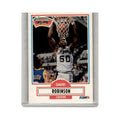 1990 Fleer David Robinson Spurs #172