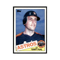 1985 Topps Terry Puhl Baseball Cards #613
