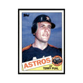 1985 Topps Terry Puhl Baseball Cards #613