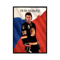 1992 Parkhurst French Petr Nedved Hockey Cards #449