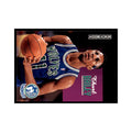 1992 SkyBox Thurl Bailey Basketball Cards #141