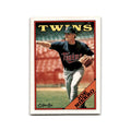 Joe Niekro 1988 O-Pee-Chee #233 Minnesota Twins Baseball Card NM