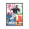 1995 Stadium Club Members Only Lance Johnson White Sox #24