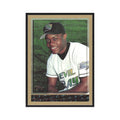 1998 Topps Quinton McCracken Rays #462