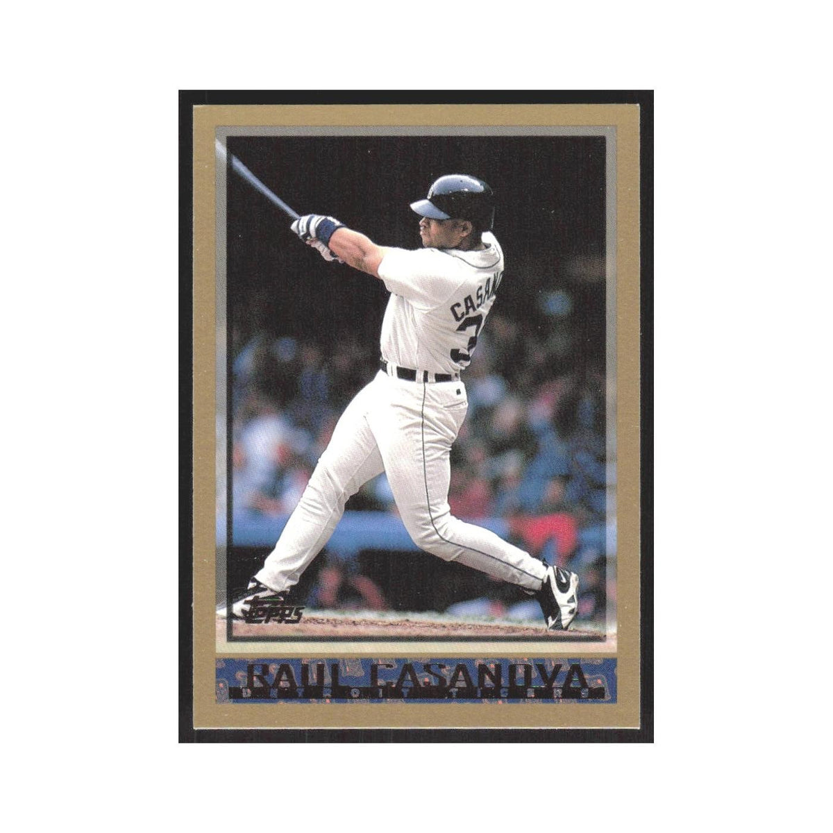 1998 Topps Raul Casanova Tigers #207