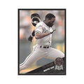 1993 Leaf Tim Raines White Sox #420