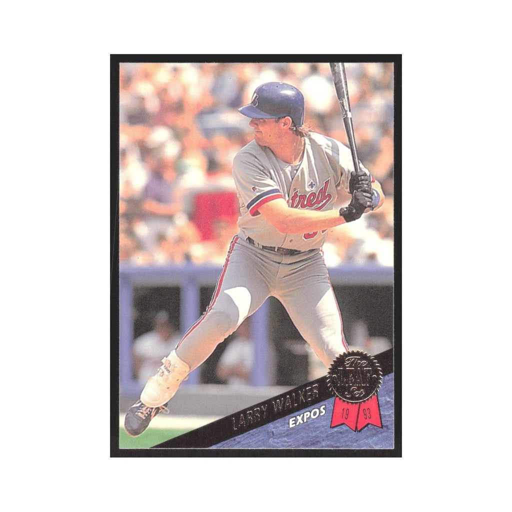 1993 Leaf Larry Walker Montreal Expos #392