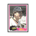 1981 Topps Rich Hebner Tigers #217