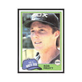 1981 Topps Ron Pruitt White Sox #442