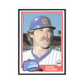 1981 Topps Steve Dillard Cubs #78